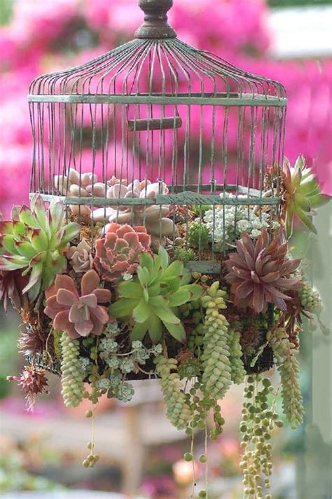 Bird Cage Planters Tutorial Plus Decorative Birdcage Planter Ideas