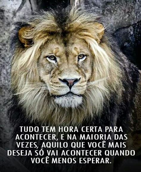 Pin De Gilberto Fernandes Em Frases Motivacionais Frases Otimistas