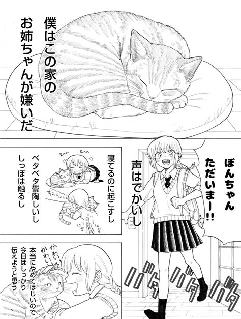 「猫が大好きすぎるお姉ちゃん」に猫が”私はあなたが嫌い”と伝えた結果・・・ Cupeポスト