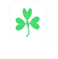 Meaning of ☘ Shamrock Emoji in 26 Languages