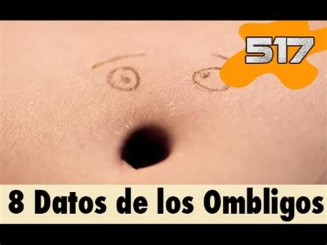 8 Datos Curiosos De Los Ombligos 517 What The Fact Datos Curiosos