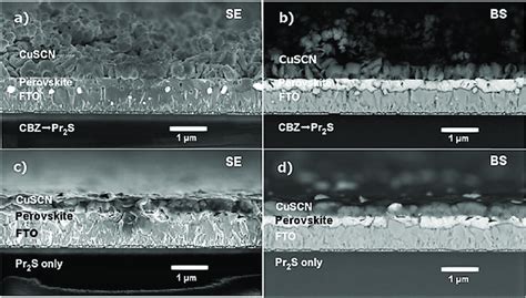 Scanning Electron Microscopy Sem Cross Sectional Images Of