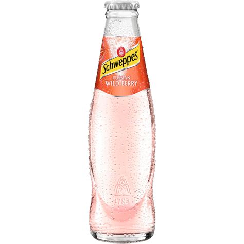 Transgourmet Sterreich Schweppes Wild Berry L Mw