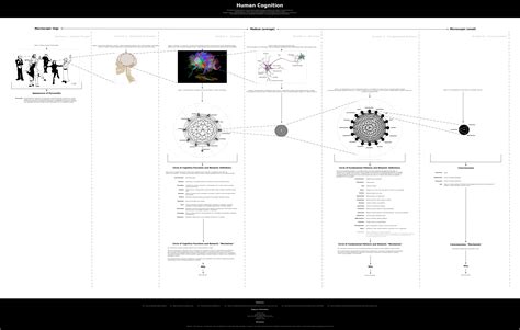 Understanding Human Cognition - Medical Science - Science Forums