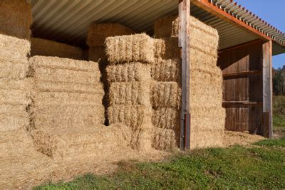 A Guide To Growing Harvesting And Baling Hay Artofit