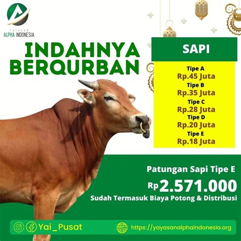 Berqurban Sapi Di Hari Raya Idul Adha 1443 Hijriyah Yayasan Alpha