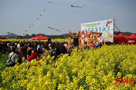 渌口区千亩油菜花海引客来 株洲 华声文旅 华声在线