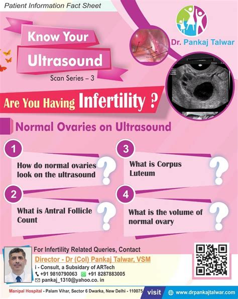 #Normal #Ovaries on #Ultrasound | Ovaries, Ultrasound, Fertility doctor