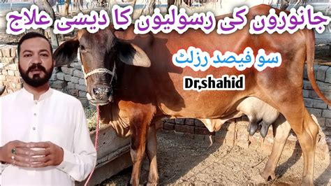 Dairy Farm Janwar Ke Rasoli Ganth Ka Ilaj Buffalo Cow Ke Gale Me