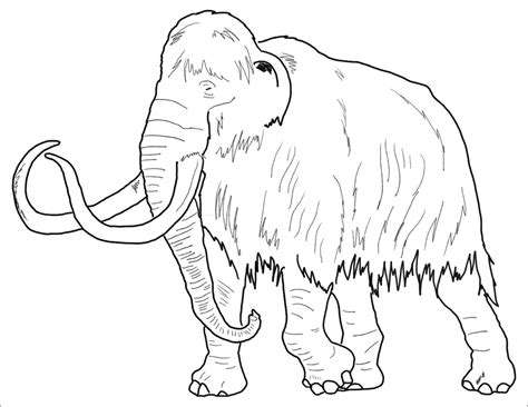 Mammut Mamut Colorare Disegni Mammoth Coloring Kolorowanka Mammoet