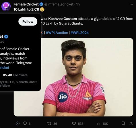 WPL 2024 Auction Memes Galore As Uncapped Kashvee Gautam Was Sold To