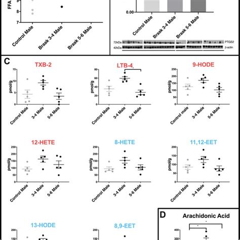 Sex Differences In Inflammatory Profiles Of Cerebellar Mitochondria Download Scientific