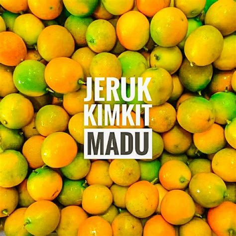 Jual Bibit Jeruk Kimkit Madu Thailand Berbuah Shopee Indonesia