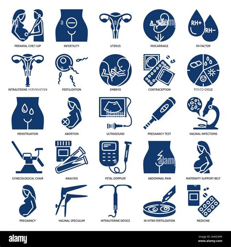 Gynecology And Obstetrics Icon Set Women Reproductive Health Vector