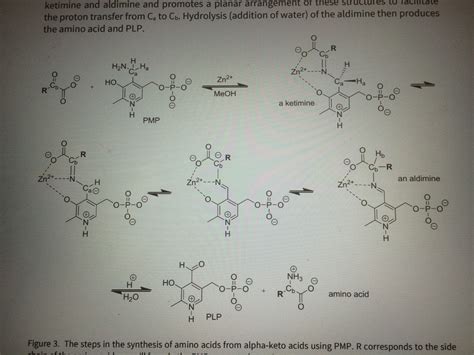 Solved Draw The Mechanism For The Formation Of The Imine In