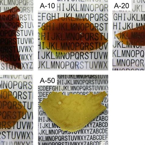 Sem Images Of The Fracture Cross Sections Of The Composite Films