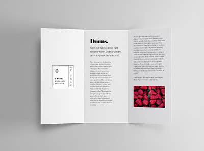 3 Panel Brochure designs, themes, templates and downloadable graphic ...