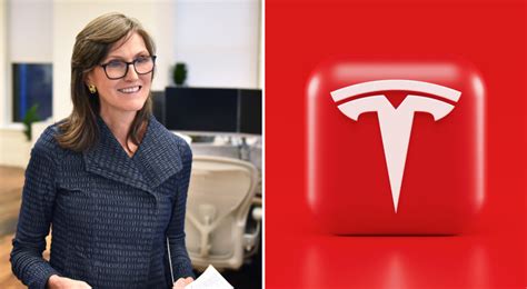 Cathie Wood To Tesla S Rescue Ark Invest Scoops Up M Of Ev Giant S