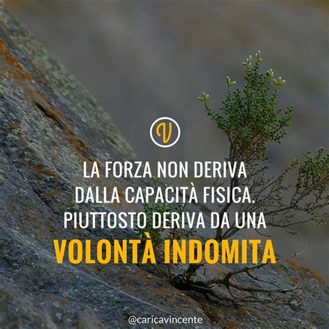 Frasi Sulla Forza Mentale Aggiornato Dicembre