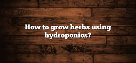 How To Grow Herbs Using Hydroponics Inter Culturalu