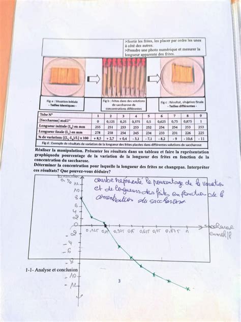 Solution Absorption De L Eau Et Des Sels Min Raux Chez Les Plantes