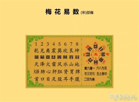 梅花易数四——基础八卦 知乎