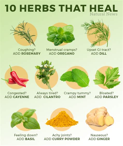 10 Herbs That Heal Chart