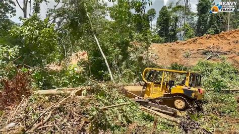 Very Good CAT D6R XL Bulldozer Operator Frees Trees That Bet On Dozer