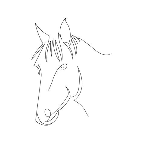 Horse head line art drawing style, The horse sketch black linear ...