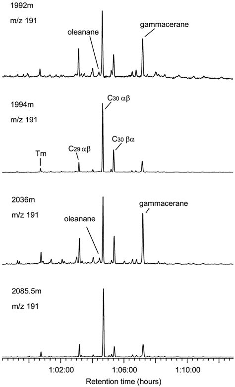 Hopanes Gammacerane And Oleanane Distribution Patterns Evident In