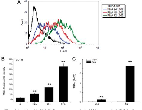 Figure 1 From Silver Nanoparticles Impede Phorbol Myristate Acetate