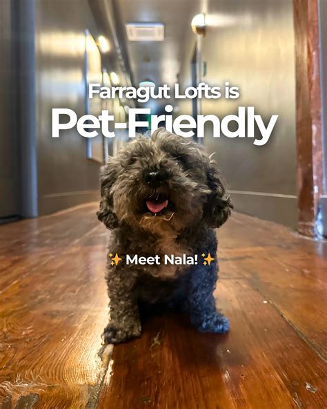 Farragut Lofts | Bay St. Louis MS