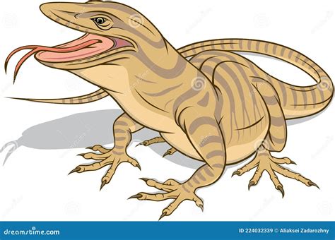 Carnivorous Reptile Gray Monitor Lizard Stock Vector Illustration Of