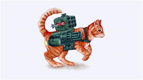 Tactical Cat Ubicaciondepersonascdmxgobmx