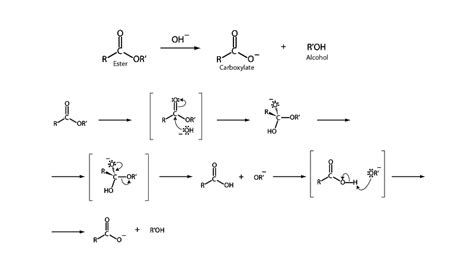 Hydrolysis Of Ester Saponification Integrated Mcat Course