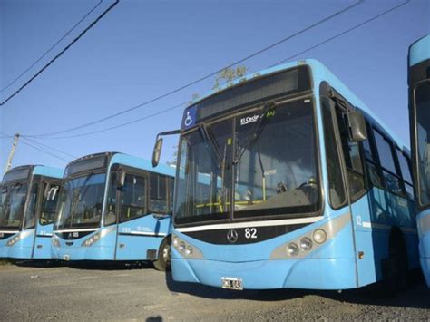 Nuevo Paro De Colectivos En Rosario Por Otra Oleada De Ataques Contra