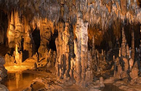 Florida Caverns State Park In Marianna Florida Offers Cave Tours To The Public Close By