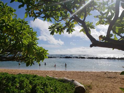 Kauai Vacation Planner: Everything You Need to Know