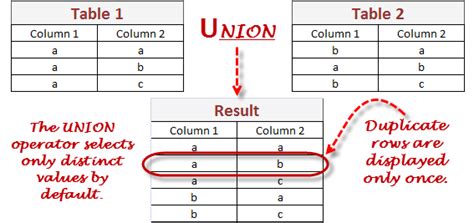 sql union query software testing class