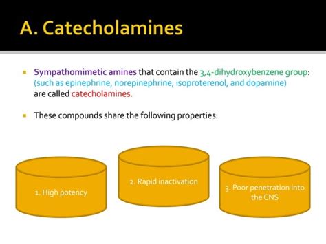 Adrenergic Agonists Ppt