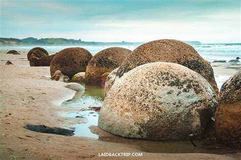 Moeraki Boulders: Visit the Geological Wonder in New Zealand — LAIDBACK ...