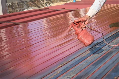 Can You Paint a Metal Roof? | Blue Guardian Home Inspections