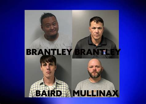 St Clair Co Undercover Investigation Leads To 4 Meth Trafficking