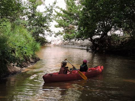 Parcours Sur Jours En Cano Kayak Sur La Leyre Activit S Dans Les