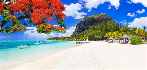 Coral Azur Beach Resort Mauritius Tropical Warehouse