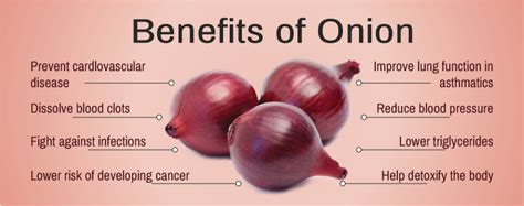 Red Onion Benefits - Evergreen Tips