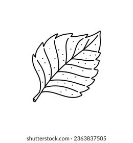 Hand Drawn Doodle Birch Leaf Outline Stock Vector (Royalty Free ...