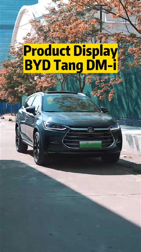 Byd Tang Champion Edition Ev Seater Suv Km Range High Quality