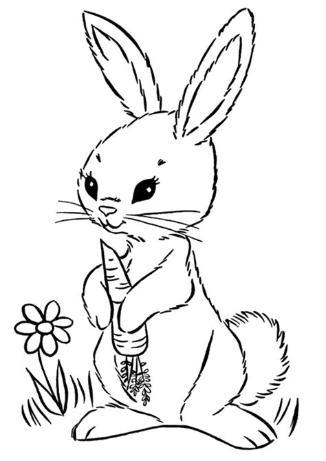 Rabbit With Carrot Coloring Page - Free Printable Coloring Pages for Kids