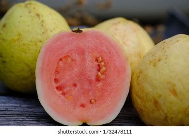 Jambu Biji Merah Guava Psidium Guajava Stock Photo 1732478111